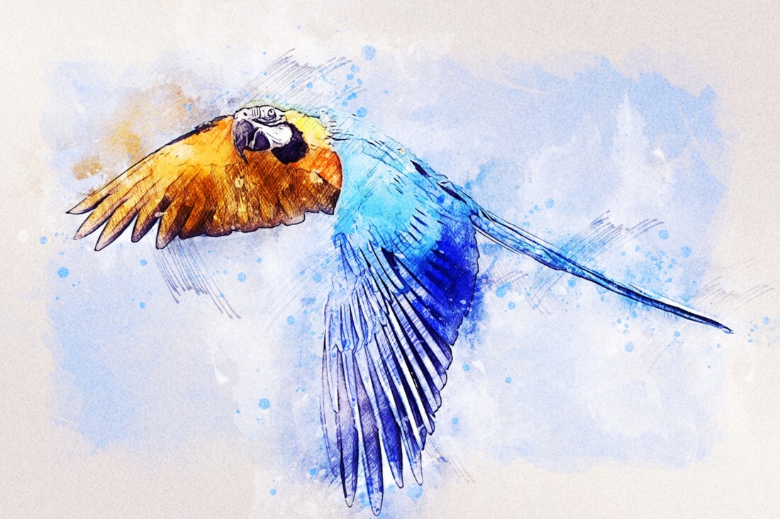 parrot-g591b62eec_1920_w8ggym7tmffj.jpg parrot-g591b62eec_1920_w8ggym7tmffj.jpg